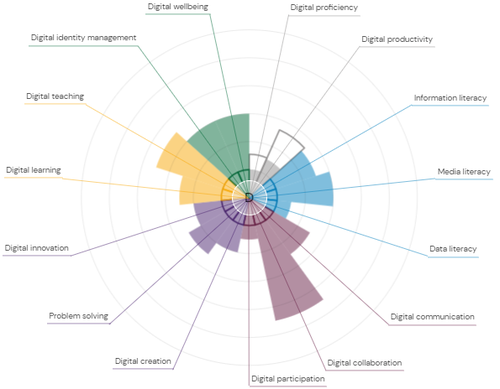 Example of competency graph from an overall digital capabilities report. The diagram shows a user&#x27;s confidence level in 15 areas of digital capability, with colour coding to match the 6 top-level areas of the digital capability framework